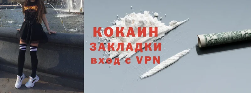 Cocaine Fish Scale  купить наркотики сайты  Котлас 