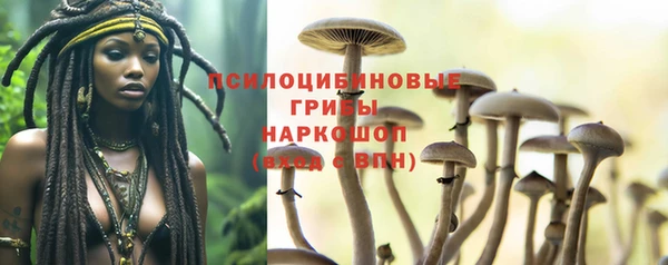 хмурый Няндома