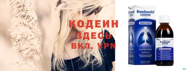 хмурый Няндома