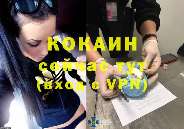 хмурый Няндома