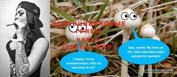 кокс Нягань