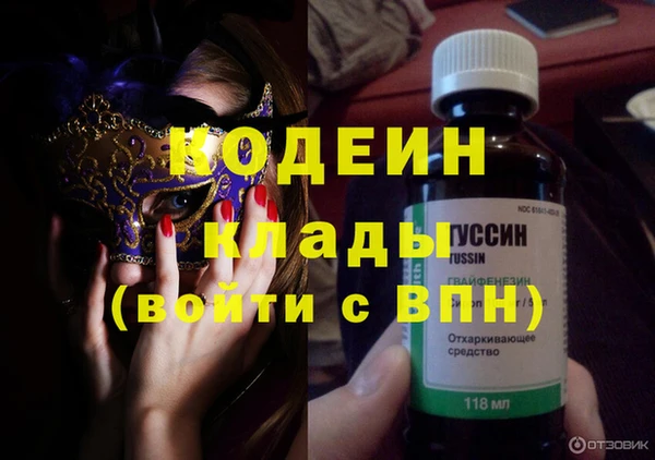 хмурый Няндома