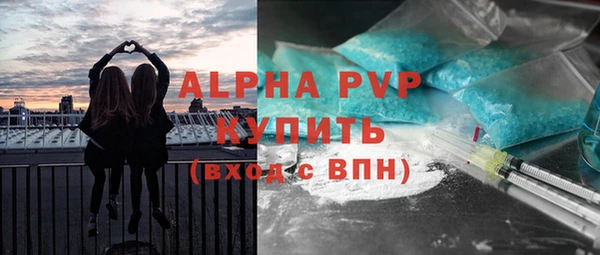 хмурый Няндома