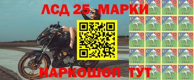 гашик Гусев