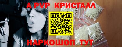 гашик Гусев