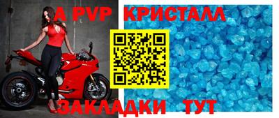 гашик Гусев