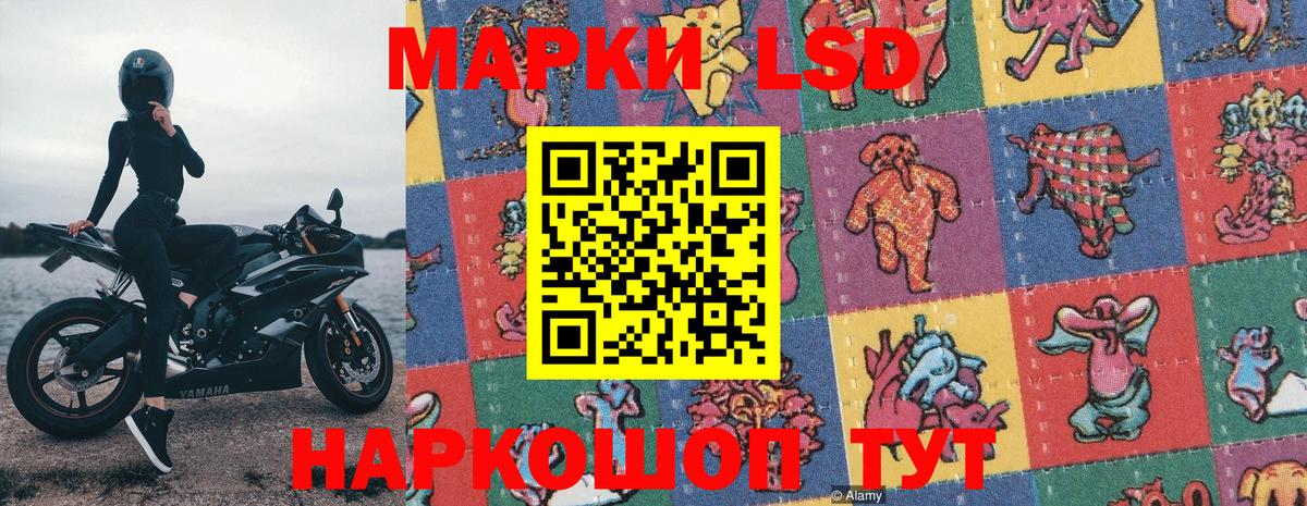 Котлас  Марки 25I-NBOMe 1,5мг  Вход с VPN 