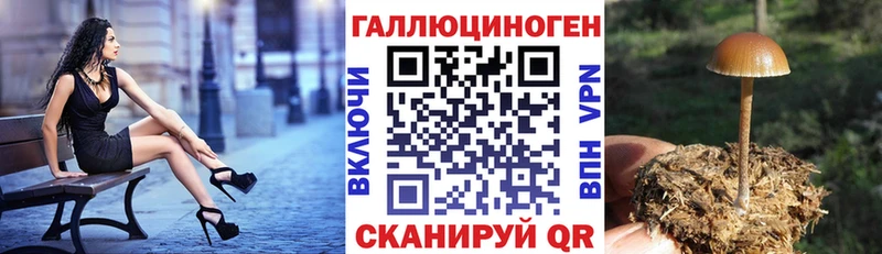 Псилоцибиновые грибы MAGIC MUSHROOMS  Котлас 