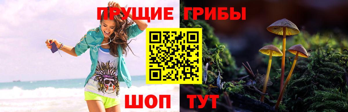 Псилоцибиновые грибы ЛСД  Псилоцибиновые грибы Magic Shrooms  Котлас  Вход с VPN 