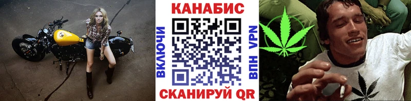где купить наркотик  Котлас  Бошки Шишки White Widow 